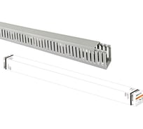Перфорированный кабель-канал TDM ELECTRIC 25x40 мм, перфорация 4/6 мм, 40 м SQ0410-0012