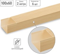 Кабель-канал TDM ELECTRIC 100x60 желтая сосна 3D (2м/6шт в упак) SQ0402-0610