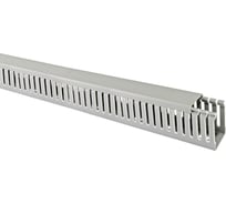 Перфорированный кабель-канал TDM ELECTRIC 40x80 мм, перфорация 4/6 мм, 20 м SQ0410-0018