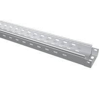 Лоток перфорированный TDM ELECTRIC 50x100x3000-0,7 мм SQ2901-0107