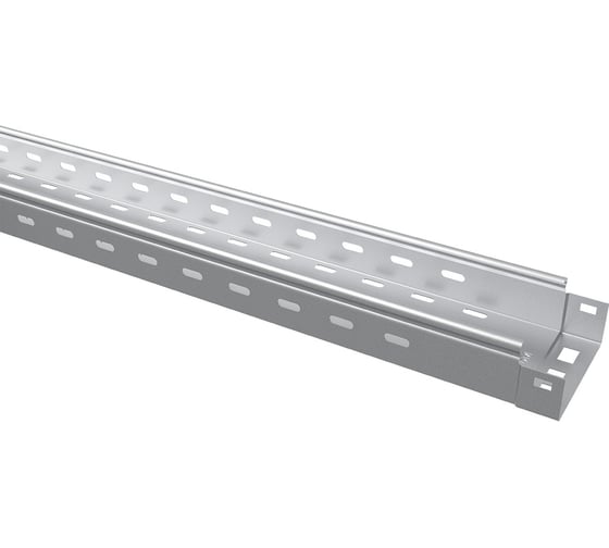 Лоток перфорированный TDM ELECTRIC 50x100x3000-0,7 мм SQ2901-0107 1