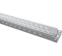 Перфорированный лоток TDM ELECTRIC 50x100x3000-1.0 мм SQ2901-0202
