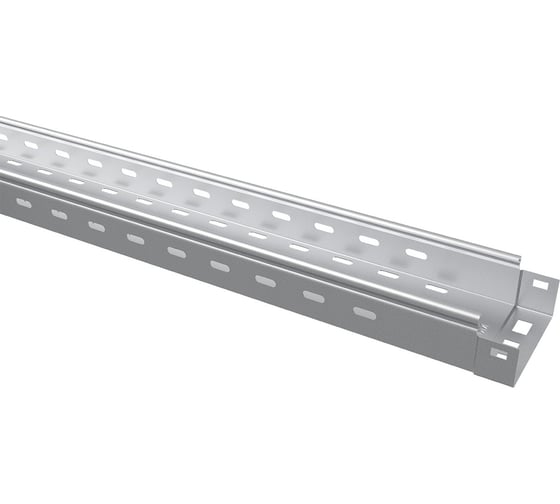 Перфорированный лоток TDM ELECTRIC 50x100x3000-1.0 мм SQ2901-0202
