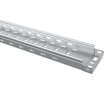 Перфорированный лоток TDM ELECTRIC 35x100x3000-0.7 мм SQ2901-0102