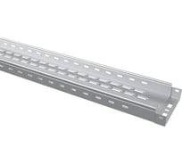 Лоток перфорированный TDM ELECTRIC 50x150x3000-0,7 мм SQ2901-0108
