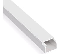 Кабель-канал LEIDEN ELECTRIC 40x25 белый 2 м 809009