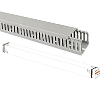 Перфорированный кабель-канал TDM ELECTRIC 60х60 16 м SQ0410-0006