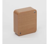 Распределительная коробка для открытой проводки Рувинил Тусо 55x55x32 мм 2 пары клеммников 65002-38М