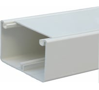 Кабель-канал Legrand DLP 50x80 1 секция 1 крышка 65 мм длина 2 м белый 010419