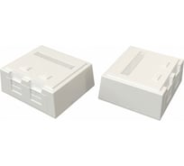 Корпус настенной розетки для установки 2-х вставок типа Keystone Jack SHyperline BB4-2-WH со шторкой, белый 444530