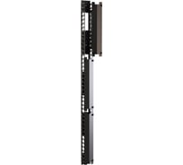 Вертикальный кабельный организатор Hyperline CMF-R42U-F106-С19-RAL9005 для шкафов TSR, с крышкой, для профиля тип U, L, дополнительно 19-дюймовые вертикальные крепления 483758