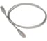 Патч-корд TWT RJ45-RJ45, 2 пары, UTP, категория 5е, 1.5 м, серый, 45-45-1.5-GY 1