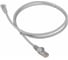 Патч-корд LANMASTER RJ45-RJ45, 4 пары, UTP, категория 5е, 1.5 м, серый, LSZH, LAN-PC45/U5E-1.5-GY 1
