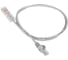 Патч-корд LANMASTER 110 тип-RJ45, 2 пары, UTP, 1.5 м, LAN-45-P2-1.5m 1