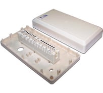 Распределительная коробка на 1 плинт 10 пар TWT, с плинтом DB10-1P-DIS