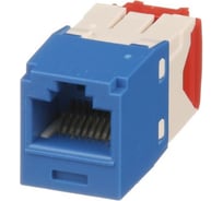 Модуль PANDUIT CJ5E88TGBU Mini-Com RJ45 TX5e 29592