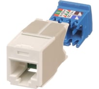 Модуль PANDUIT CJ6X88TGAW Mini-Com RJ45 TX6A 10Gig, UTP T568A/B белый 29492