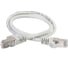 Патч-корд ITK категории 5е FTP 1 м серый PC01-C5EF-1M 1