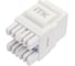 Модуль ITK Keystone Jack категория 6 UTP 110 IDC 180град. CS1-1C06U-12 2