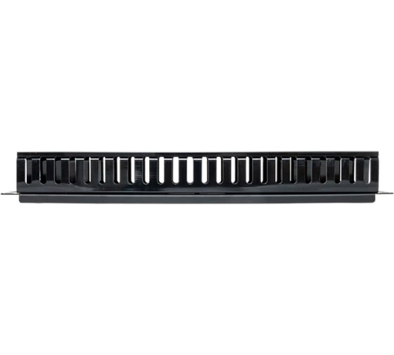 Кабельный органайзер EKF TERACOM PRO с крышкой 19" 1U пластиковый черный TRP-1CORF-PL-BK