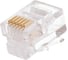 Коннектор NETLAN RJ12/6P6C, категория 3, 3 мкд, универсальный, 1000шт. EC-UP6P6C-UC-003-TR-1000 1