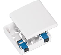 Абонентская розетка оптическая TWIST RS-01/FTTH-F02P 1 шт FTTH-001