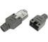 Защитный колпачок LANS на разъем RJ 45 M-6F, 100 шт/уп, Л002343 1