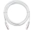 Шнур U/UTP NETLAN 4 пары, Кат.5e, белый, 10м, 10шт. EC-PC4UD55B-BC-PVC-100-WT-10 1