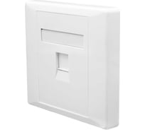 Лицевая панель SUPRLAN 1 порт (80x80, Keystone, шторка) (DIY) 10-0333-1