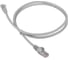 Патч-корд LANMASTER RJ45 - RJ45, 4 пары, UTP, категория 5е, 15 м, серый, LAN-45-45-15-GY 1