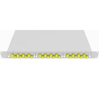 Оптический стоечный кросс TopLAN 19, многомодовый, укомплектованный, КРС-Top-1U-24ST/U-OM2-GY