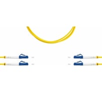 Оптический патч-корд TopLAN, дуплексный, LC/UPC-LC/UPC, 657A1, 2 м, DPC-TOP-657A1-LC/U-LC/U-2.0