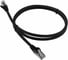 Патч-корд LANMASTER RJ45 - RJ45, 4 пары, FTP, категория 6, 0.5 м, черный, LSZH, LAN-PC45/S6-0.5-BK 1