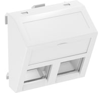 Корпус двойной компьютерной розетки OBO Bettermann тип C (наклонный) 45x45 мм, 1 модуль Modul45, белый 6119286