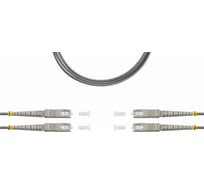 Оптический патч-корд TopLAN дуплексный, SC/PC-SC/PC, DPC-TOP-OM1-SC/P-SC/P-100