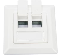 Рамка Hyperline, FP-GTF-2AS-WH, 80х80 мм, для двух вставок формата Keystone Jack, пос. размер 60 мм 235097