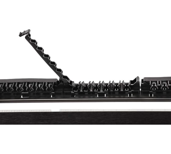 Патч-панель LANMASTER 19", 24 порта RJ45, неэкранированная, кат.5E, 1U, с задним органайзером с фиксаторами кабеля, LAN-PPL24U5E LAN-PPN24U5E