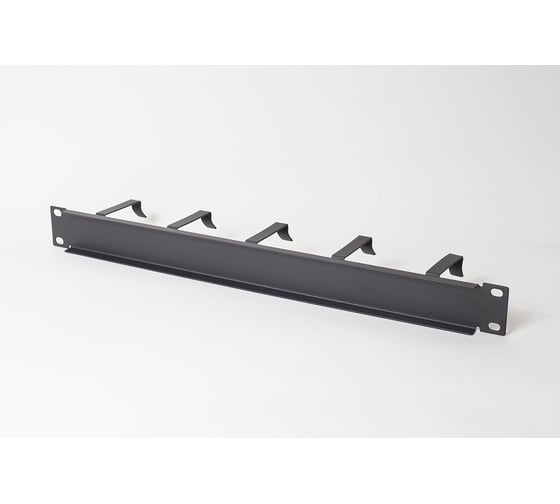 Горизонтальный органайзер SPL 19", 1U, с пластиковыми кольцами 500010