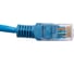 Патч-корд ExeGate UTP-RJ45-RJ45-5e-0,3M-LSZH-BL, UTP, cat.5e, 0.3м, синий 286371 2