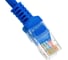 Патч-корд ExeGate UTP-RJ45-RJ45-5e-0,5M-BL, UTP, cat.5e, 0.5м, синий 172877 4