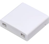 Розетка оптическая абонентская НК-Групп RS-01 000197