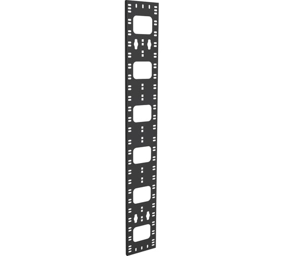 Органайзер кабельный вертикальный ITK 150х12мм 42U черный CO05-15042-R 1