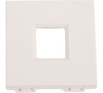 Лицевая плата Systeme Electric W45 2мод 1xKeystone RAL9010 RIN-144-BE