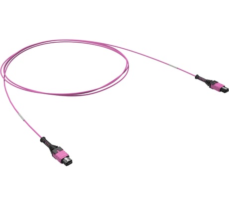Патчкорд DKC 12ОВ 50/125 OM4, 1xMTP PRO 12 /1xMTP PRO 12 , 1м 1 ШТ RNPCFF124B01