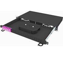 Кросс оптический стоечный выдвижной TopLAN 19, 24 LC/UPC адаптера, многомодовый MM(OM4) 50/125, 1U, черный, укомплектованный, КРСв-Top-1U-24LC/U-OM4-BK