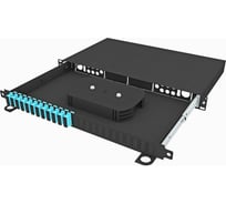 Кросс оптический стоечный выдвижной TopLAN 19, 24 SC/UPC адаптеров, многомодовый ОМ3, 1U, черный, укомплектованный, КРСв-Top-1U-24SC/U-OM3-BK