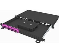 Кросс оптический стоечный выдвижной TopLAN 19, 24 SC/UPC адаптеров, многомодовый ОМ4, 1U, черный, укомплектованный, КРСв-Top-1U-24SC/U-OM4-BK