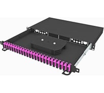 Кросс оптический стоечный выдвижной TopLAN 19, 48 SC/UPC адаптеров, многомодовый ОМ4, 1U, черный, укомплектованный, КРСв-Top-1U-48SC/U-OM4-BK