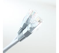 Патч-корд UTP Pro Legend категории 5E RJ-45 вилка - RJ-45 вилка, серый, 3 м. PL1222