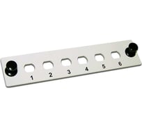 Адаптерная панель LANMASTER на 6 FC адаптеров, серая LAN-FP-FC